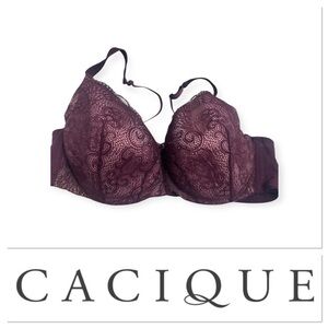 Cacique burgundy opulent lace bra size 42C